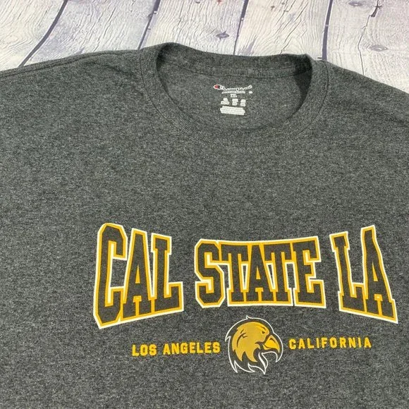 Champion Men's Relaxed Fit Jersey Tshirt Gray Tee - Picture 4 of 8